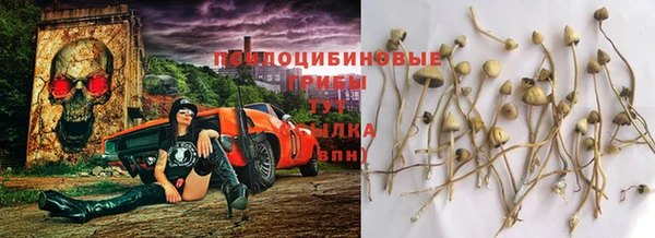 мескалин Армянск