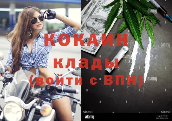 спиды Аркадак