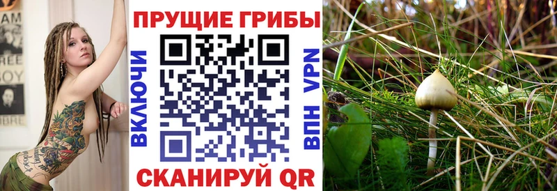 гидра   Южно-Сухокумск  даркнет клад  Псилоцибиновые грибы мицелий 